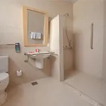 Ibis De Iracema