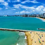 Ibis De Iracema